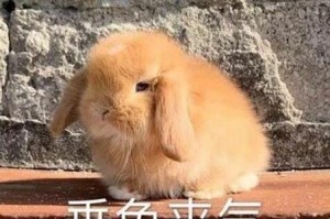 身体背上为什么会长毛？（毛发与身体的关系解析）