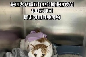 狗狗疫苗（选择适合狗狗的疫苗类型，提供全面的预防保护）