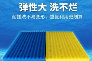 鱼缸过滤棉的种类及其特点（了解不同种类的鱼缸过滤棉，提升鱼儿生活环境）