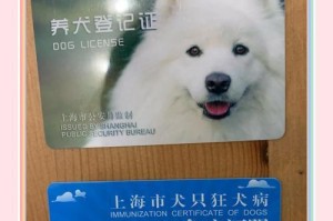 上海金山（探寻金山区适合带狗的场所和活动，让你的宠物欢乐无限）
