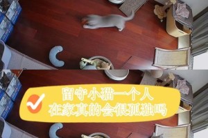 猫咪独自在家的最长时间（探索猫咪的独立生活能力）