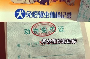 如何饲养比熊幼犬？（全面指南帮助你成为比熊犬的贴心主人）