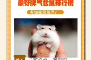 仓鼠是理想的宠物选择（探秘仓鼠的饮食偏好和作息规律）