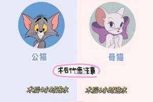 猫绝育后多久能恢复正常？（探究猫绝育术后的恢复时间以及关键影响因素）
