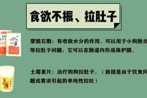 如何正确给狗狗使用土霉素？（土霉素使用频率和注意事项。）