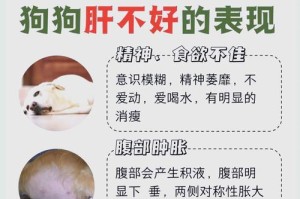 狗狗食用肝脏会中毒吗？（肝脏中毒对狗狗的影响及预防措施）
