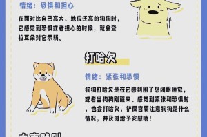狗狗肢体语言解析（了解狗狗肢体语言，与它们更亲近一步）