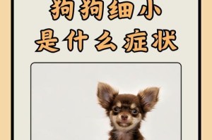 探究狗狗肠炎的类型和治疗方法（了解狗狗肠炎的常见类型及预防措施）