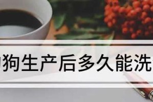 狗狗生产后多久才能洗澡？（了解狗狗产后洗澡的适宜时间和注意事项）