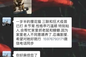 猫咪接种狂犬疫苗需谨慎！（为何猫咪不适合打狂犬疫苗及替代接种方法）