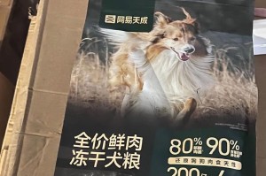 小狗狗成长中的饮食指南（1至5月龄小狗狗饮食概述，让它们健康成长）