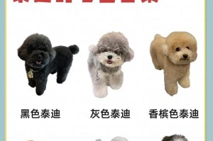 泰迪的污之称（揭开泰迪的"污名"之谜，让真相说话）