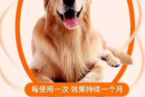 金毛宠物犬每6个月需要进行一次驱虫，保护它们的健康（了解金毛犬驱虫频率，预防寄生虫侵害）