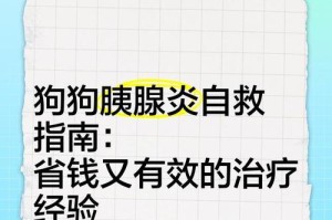 小狗胰腺炎的治愈期有多久？（了解胰腺炎治疗期限，为宠物健康加油！）