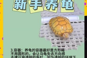 宠物龟的寿命有多长？（探索宠物龟的长寿之道与关键因素）