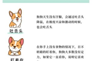 如何判断狗狗把自己当主人？（观察狗狗行为的关键因素及指示）
