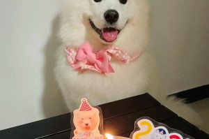 探索萨摩犬的寿命之谜（解析萨摩犬的寿命长短及影响因素）