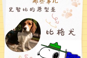 比格犬的喂食禁忌（了解比格犬的饮食禁忌，保障它们的健康和幸福）