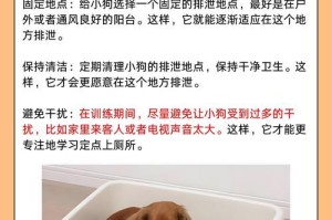 狗的健康检查——保证宠物狗身体健康的关键（宠物狗定期体检的重要性与频率）