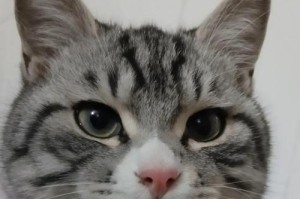 产后会不会贫血？产后出血该怎么办？（了解产后贫血和应对产后出血的方法）