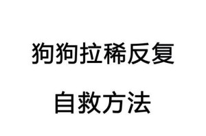 狗狗拉虫需要多久？（了解狗狗排虫周期及相关建议）