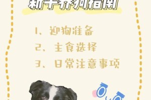 边牧什么时候能吃干狗粮？（探究边牧犬成长阶段及适宜食粮的转变）