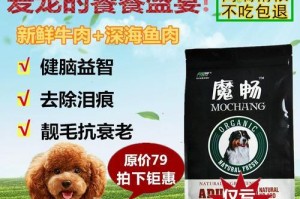 如何科学合理地喂养博美犬（掌握正确的狗粮喂养量，让博美健康快乐成长）