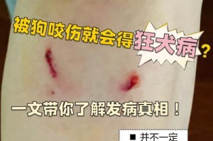 人类与犬共患疾病的传染风险（揭秘犬传染病的多样性与防控）