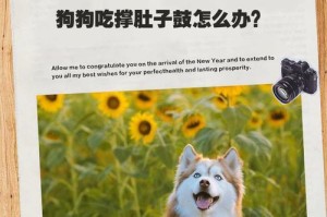 狗狗腺病毒禁食多久合适？（了解狗狗腺病毒，保护宠物健康）
