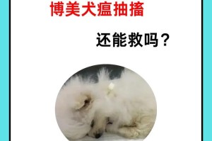 了解狗瘟（全面掌握狗瘟的表现及其对策）