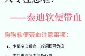 泰迪血液炎症的常见症状及治疗方法（了解泰迪血液炎症的症状和预防措施）