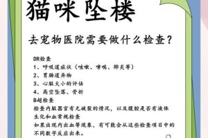 如何进行猫咪检查（全面了解猫咪健康的关键性检查，确保它们健康快乐）