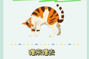 猫咪饲养全年指南（1~12月份的猫咪饲养注意事项分享）