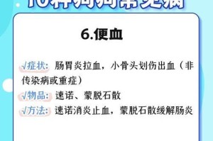 妈咪爱多治疗狗狗拉稀的有效性探究（用妈咪爱多缩短狗狗拉稀的恢复时间）
