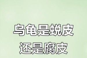 乌龟蜕皮的注意事项（关注乌龟蜕皮的重要性与注意事项）