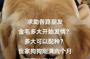 金毛狗刚满月应该吃什么？（满月金毛狗的饮食需求及注意事项）