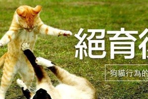 狗的节育费用是多少？（解答关于狗狗节育手术的费用问题）