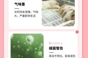 荷兰猪厕所的清洁频率及重要性（了解荷兰猪厕所打扫的时间间隔和必要性）