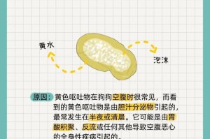 探究狗吐东西的原因（揭开狗吐东西的谜团，了解原因和处理方法）