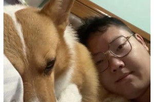 狗狗最喜欢与主人玩耍的活动（探索狗狗与主人之间最喜欢的游戏和互动方式）