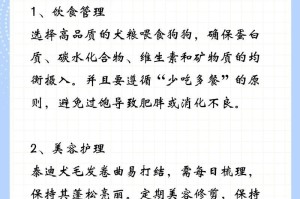 泰迪宠物狗的喂养注意事项（每日饮食规划和喂养技巧）