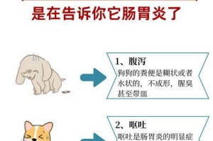 狗狗消化系统疾病（了解狗狗常见的消化系统疾病，提供预防和治疗的有效方法）