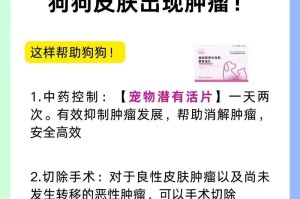 狗狗皮肤肿块解决方案（识别和处理狗狗脂肪瘤）