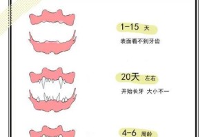 小狗乳牙生长全过程（了解小狗乳牙生长的时间和注意事项）