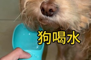 让狗在外面活动更为轻松愉快的方法（提高狗狗在户外活动中的适应性与乐趣）