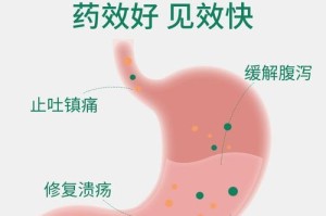 狗狗呕吐白色泡沫，该如何治疗？（了解呕吐白色泡沫的原因及应对策略）