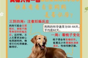狗破羊水后能生完的时间（探讨狗破羊水后生产的时间长短及相关因素）
