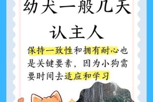 小狗主人出门叫多久才停？（揭秘小狗对主人离开的叫声时长）