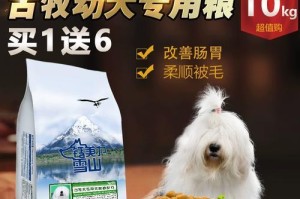 如何选择适合古牧幼犬的钙片（健康成长关键，一种正确的钙补充方法）