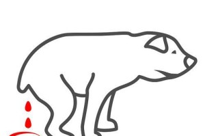 犬病毒性肠炎（了解犬病毒性肠炎的常见症状及有效的预防与治疗方法）
